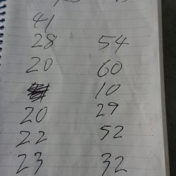 金沢八景鴨下丸 釣果