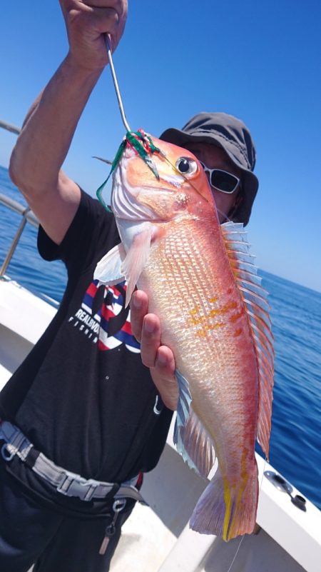 ARCADIAⅡ (アルカディアⅡ) 釣果