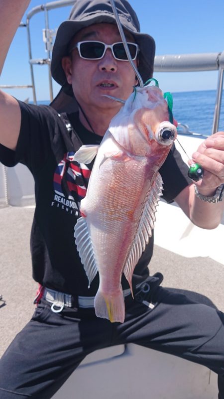 ARCADIAⅡ (アルカディアⅡ) 釣果