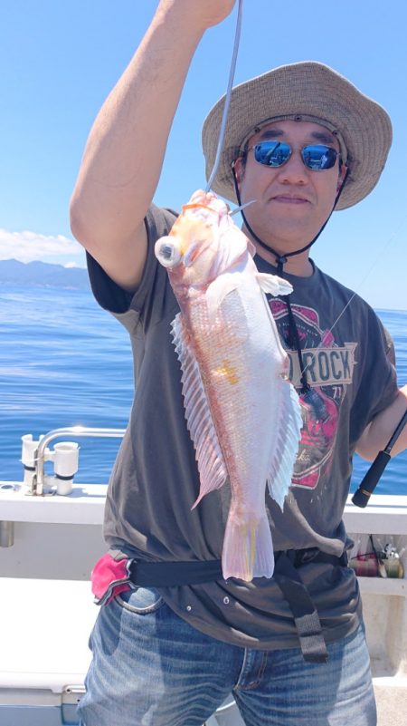 ARCADIAⅡ (アルカディアⅡ) 釣果