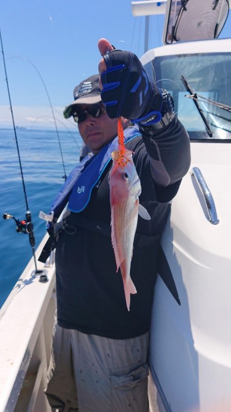 ARCADIAⅡ (アルカディアⅡ) 釣果