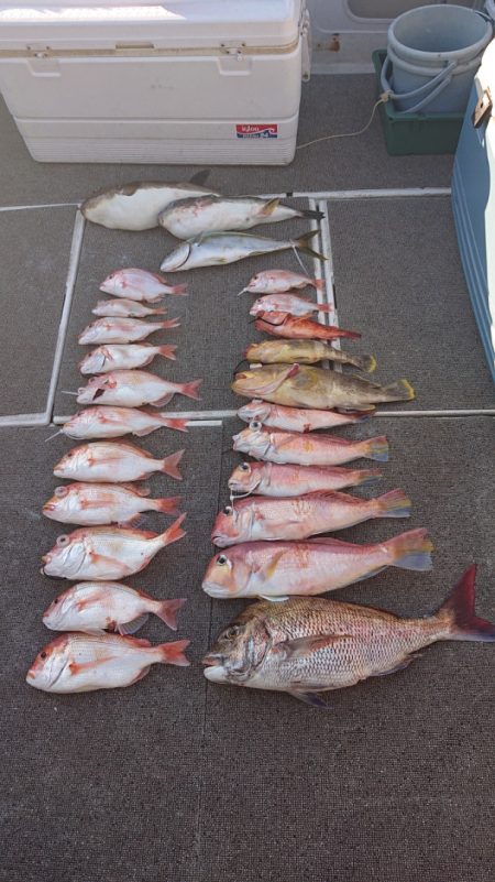 ARCADIAⅡ （アルカディアⅡ） 釣果…