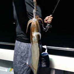 LUSTER『ラスター』 釣果