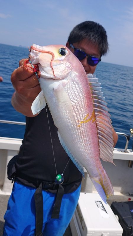 ARCADIAⅡ (アルカディアⅡ) 釣果