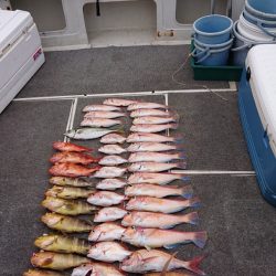 ARCADIAⅡ (アルカディアⅡ) 釣果