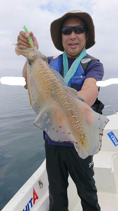 きずなまりん 釣果
