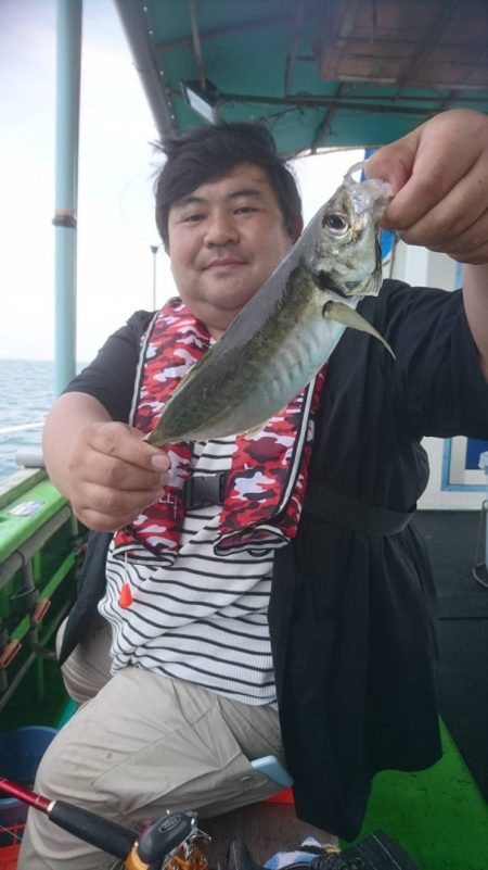 小島丸 釣果