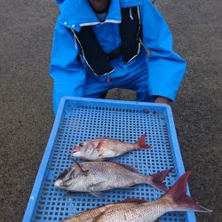 第三共栄丸 釣果