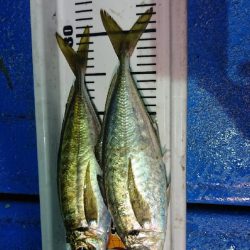 海龍丸（石川） 釣果