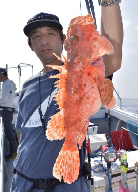渡船屋たにぐち 釣果