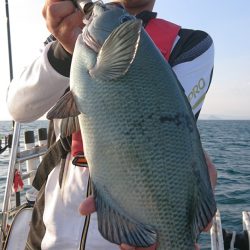 シースナイパー海龍 釣果