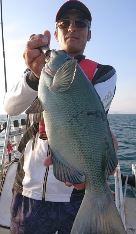 シースナイパー海龍 釣果
