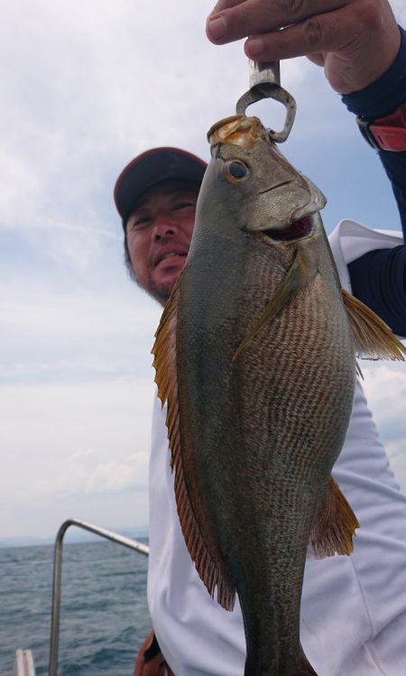 シースナイパー海龍 釣果