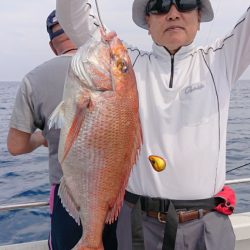 ARCADIAⅡ (アルカディアⅡ) 釣果