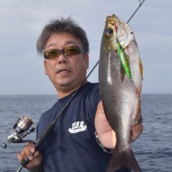 渡船屋たにぐち 釣果