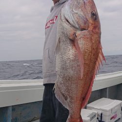 だて丸 釣果