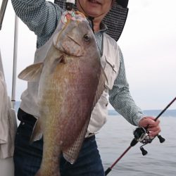 遊漁船 家入 釣果