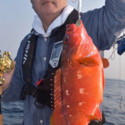 渡船屋たにぐち 釣果