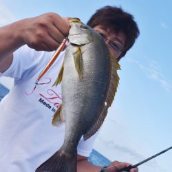 渡船屋たにぐち 釣果