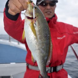 渡船屋たにぐち 釣果
