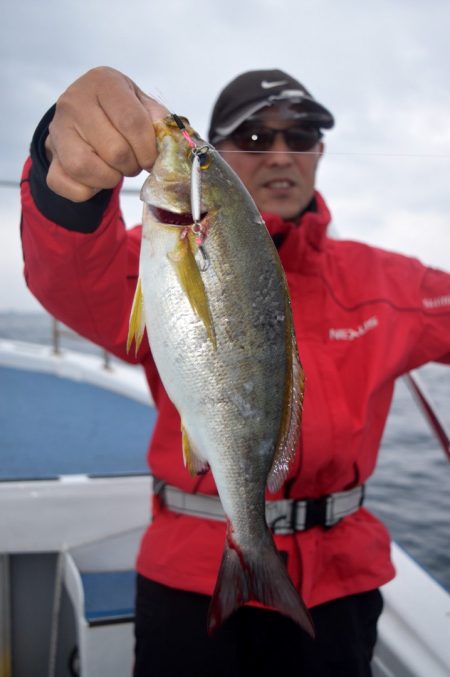 渡船屋たにぐち 釣果