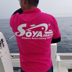 Soyamaru 釣果