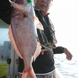 遊漁船　家入 釣果