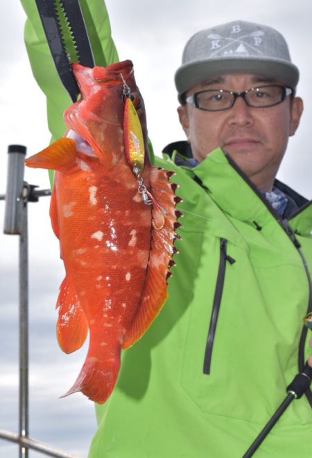 渡船屋たにぐち 釣果