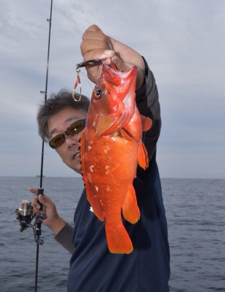 渡船屋たにぐち 釣果