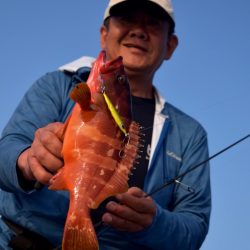 渡船屋たにぐち 釣果