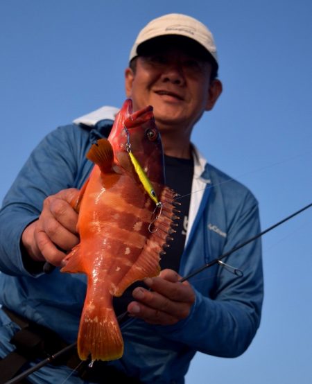 渡船屋たにぐち 釣果