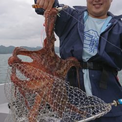 遊漁船 家入 釣果