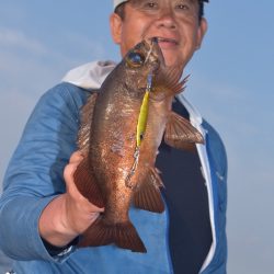 渡船屋たにぐち 釣果