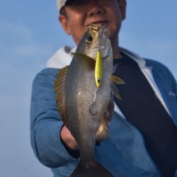 渡船屋たにぐち 釣果