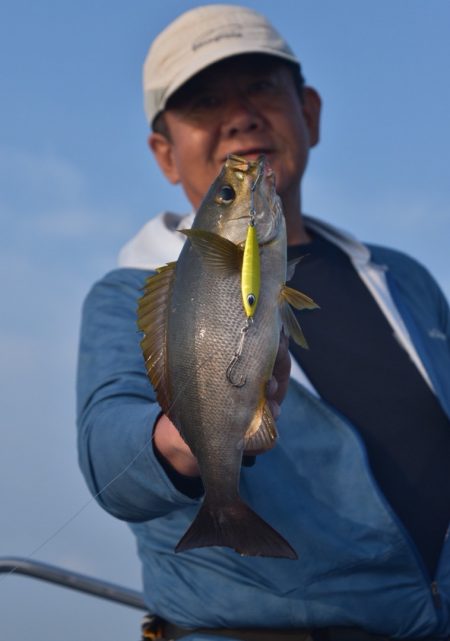 渡船屋たにぐち 釣果