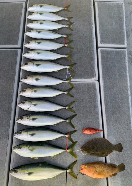 SeaRide(シーライド) 釣果