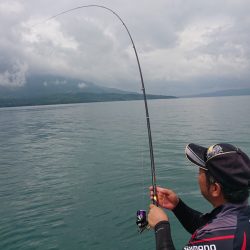 シースナイパー海龍 釣果