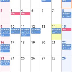 遊漁船 家入 釣果