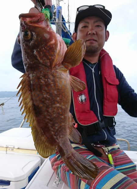 遊漁船 家入 釣果