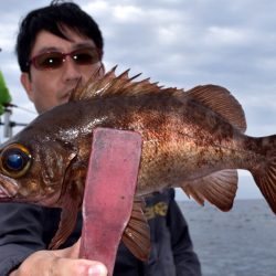 渡船屋たにぐち 釣果