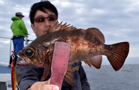 渡船屋たにぐち 釣果