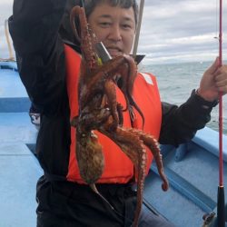 ヤザワ渡船 釣果