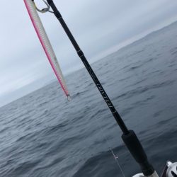 「LaGooN」蒼陽丸 日和号 釣果