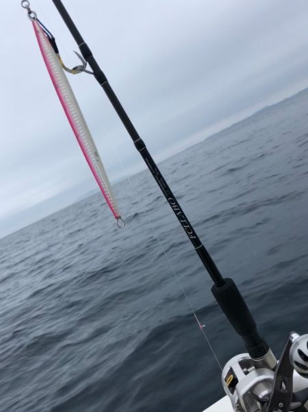 「LaGooN」蒼陽丸 日和号 釣果