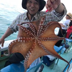 ヤザワ渡船 釣果