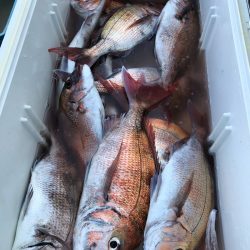 第二八坂丸 釣果