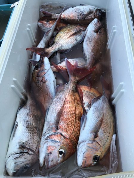 第二八坂丸 釣果