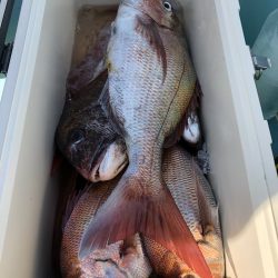 第二八坂丸 釣果