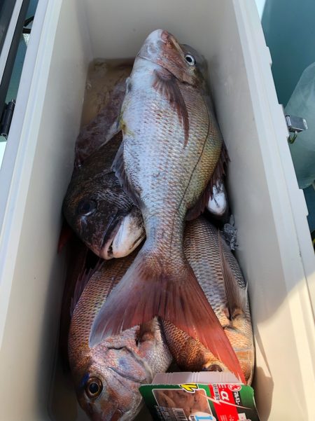 第二八坂丸 釣果