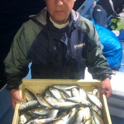 ヤザワ渡船 釣果